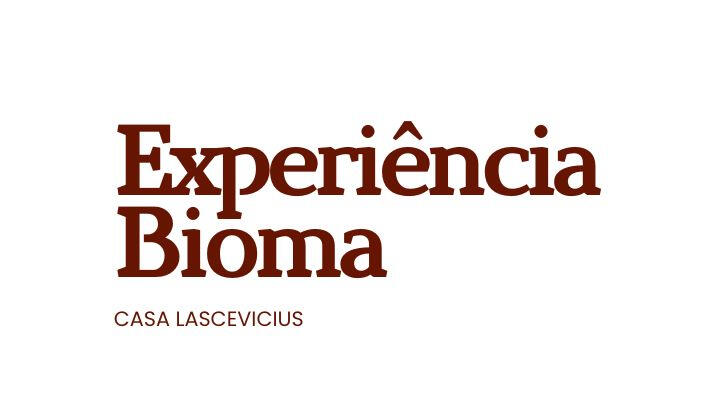 Imagem do chocolate energético Toiró, com guaraná e castanha do Pará, disponível no catálogo de chocolates bean to bar da Omicha.